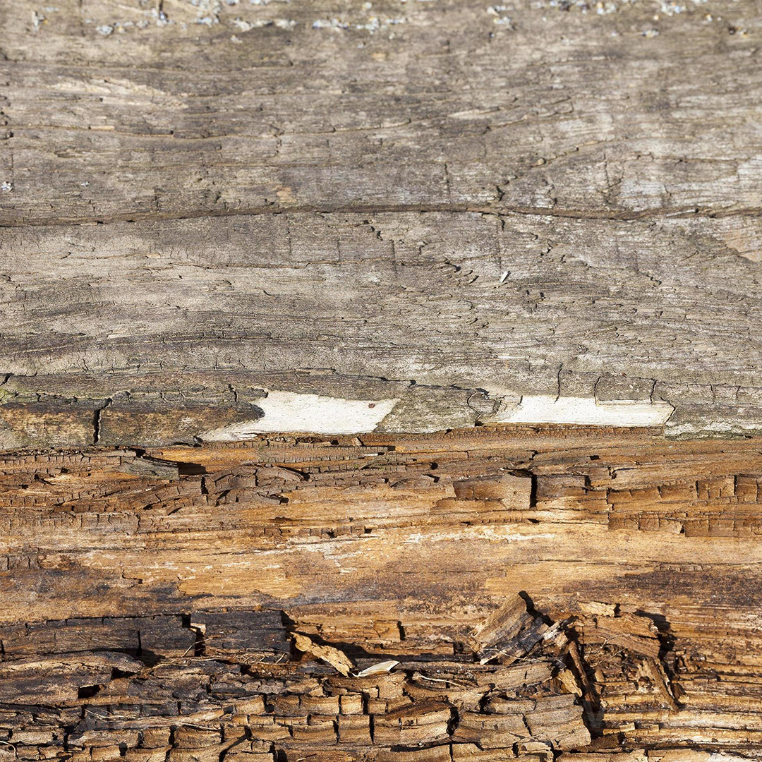 humidite-bois